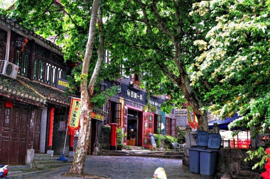 动物帮帮忙保卫家园