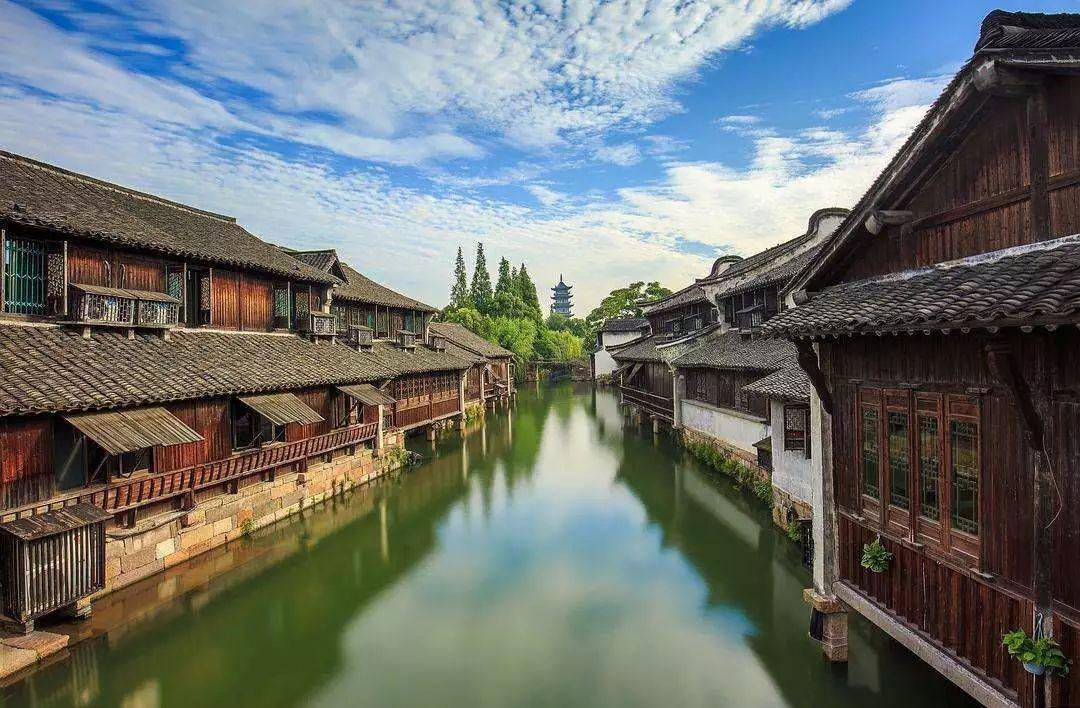 迷雾求生